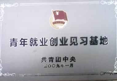2009年1月，“青年餐廳”被“共青團(tuán)中央”認(rèn)證為“青年就業(yè)創(chuàng)業(yè)見(jiàn)習(xí)基地”