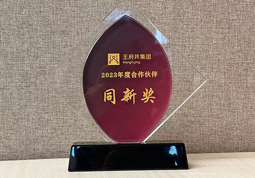 2023年度合作伙伴同新獎(jiǎng)